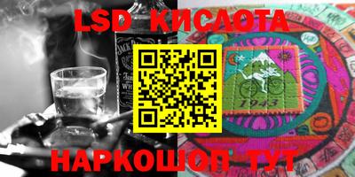 амф Бийск