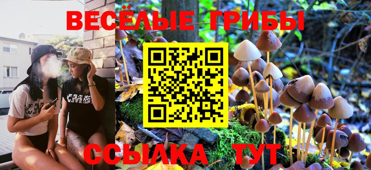 Галлюциногенные грибы Magic Shrooms  купить наркотик  Качканар  Псилоцибиновые грибы мухоморы  Вход с VPN 
