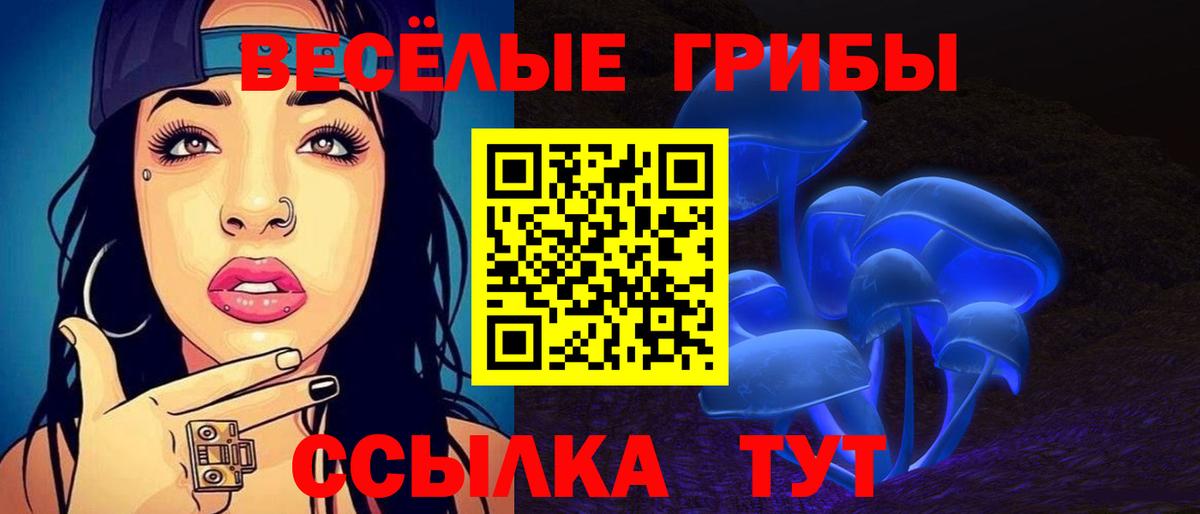 Псилоцибиновые грибы Psilocybe Качканар